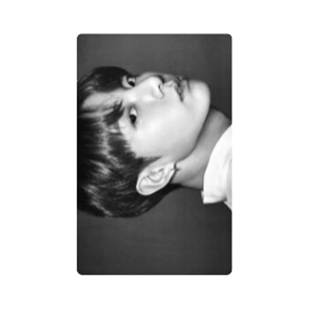 PHOTOPREMIUM - WINGS TOUR THE FINAL
